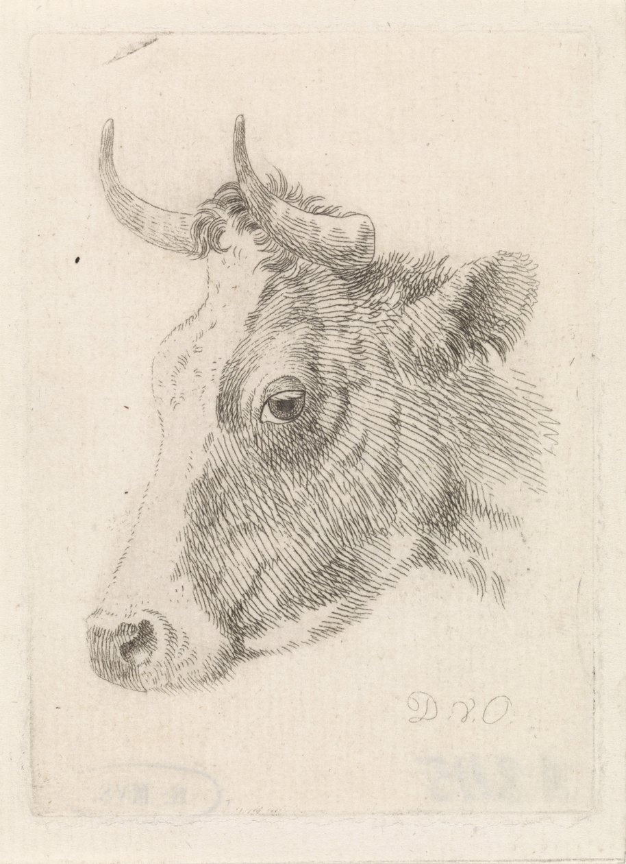 Head of a bull, tegning av Dirk van Oosterhoudt av Dirk van Oosterhoudt  