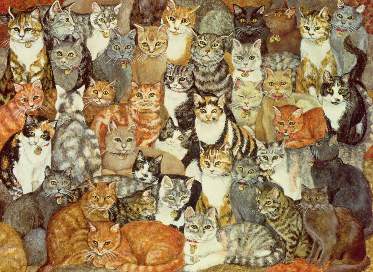 Cat-Spread av Ditz