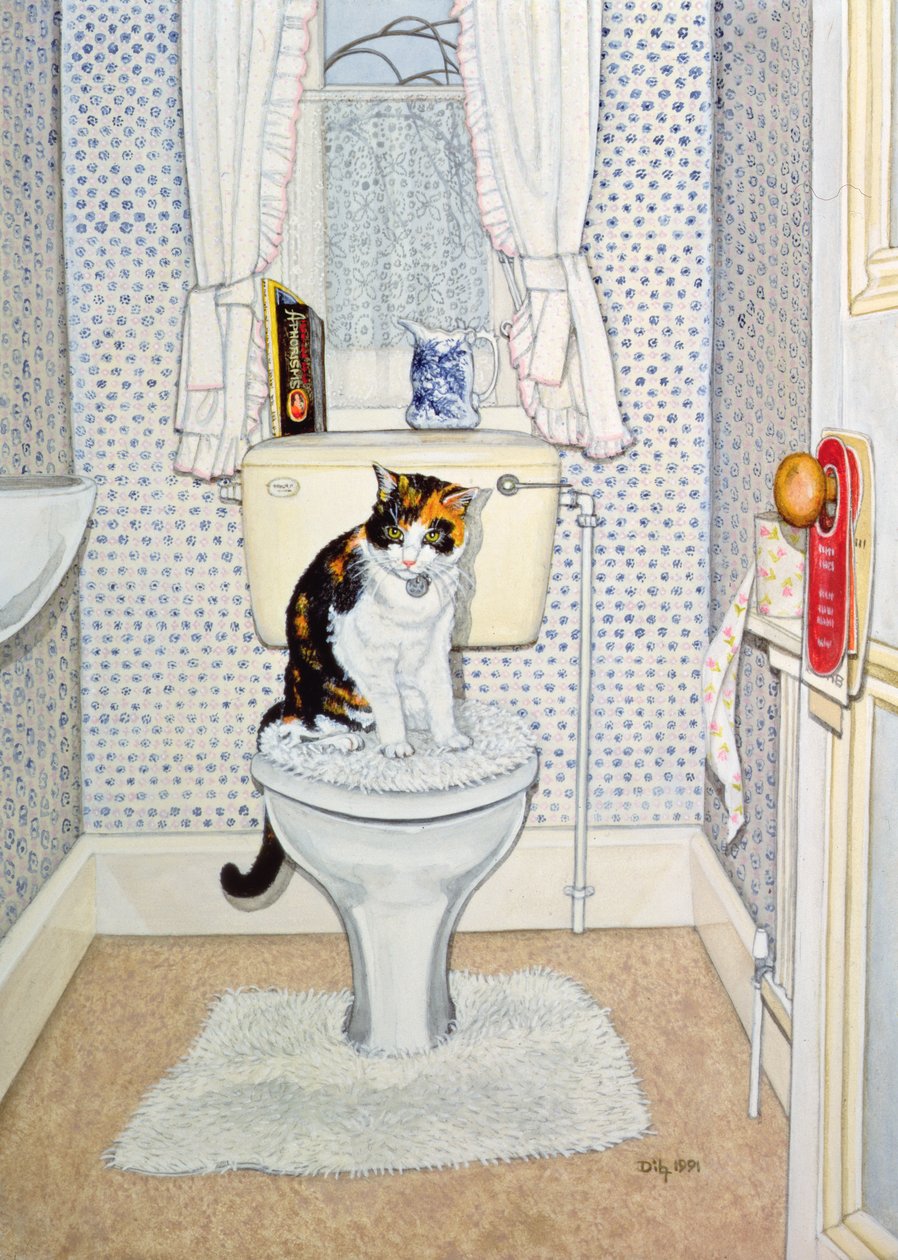 Cat on the Loo, 1991 av Ditz
