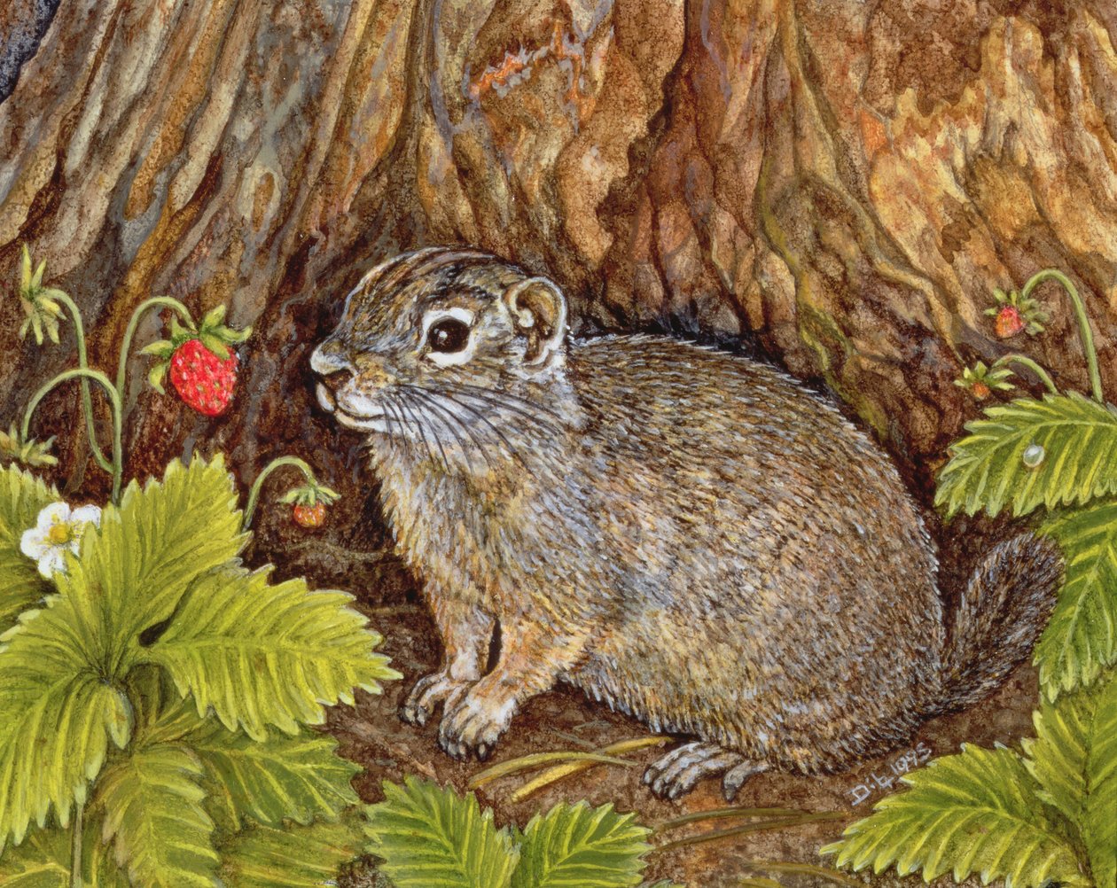 Eagle Creek, Wild Strawberry, Ground Squirrel, 1995 (akryl på panel) av Ditz