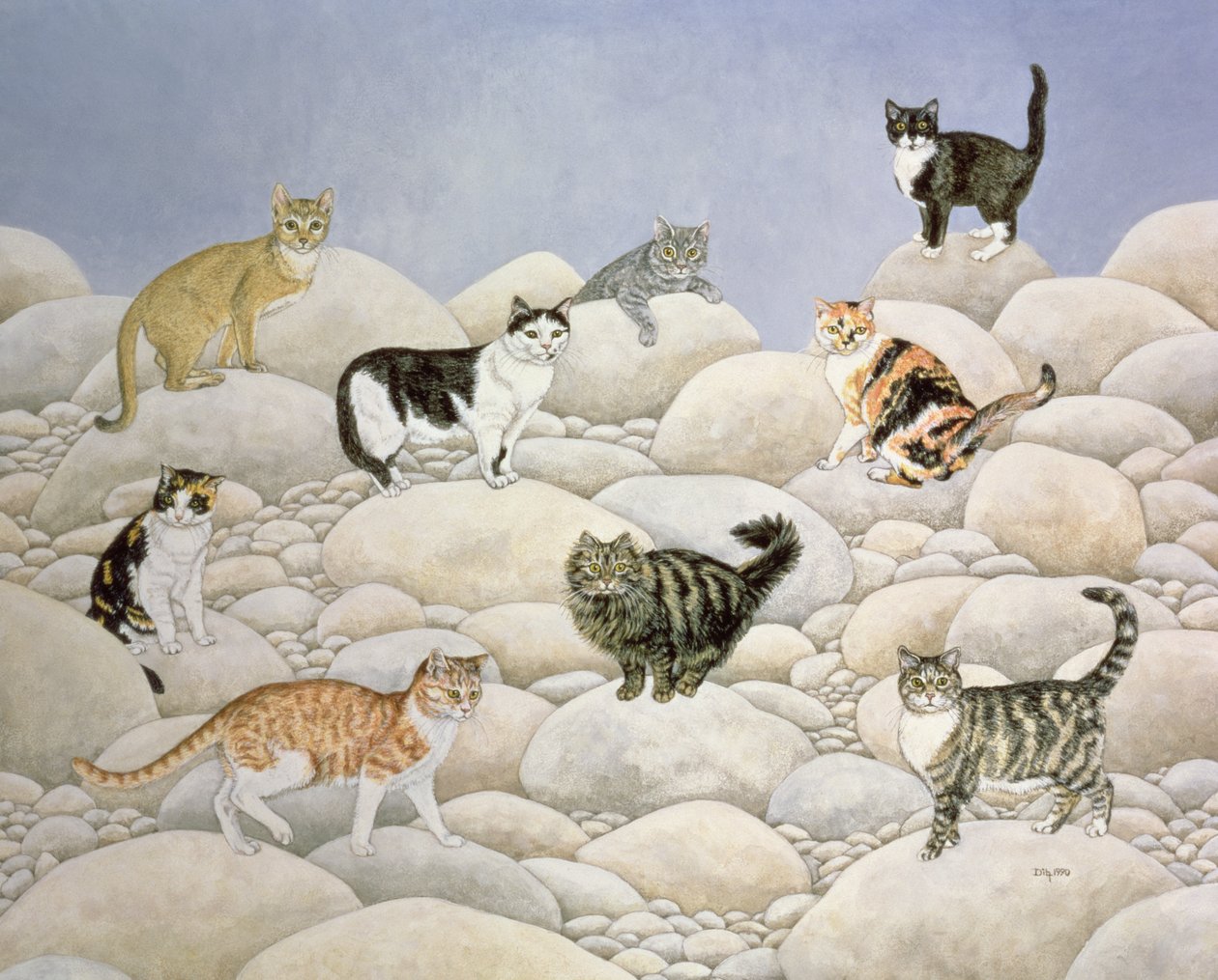 Lynn Valley Cats av Ditz