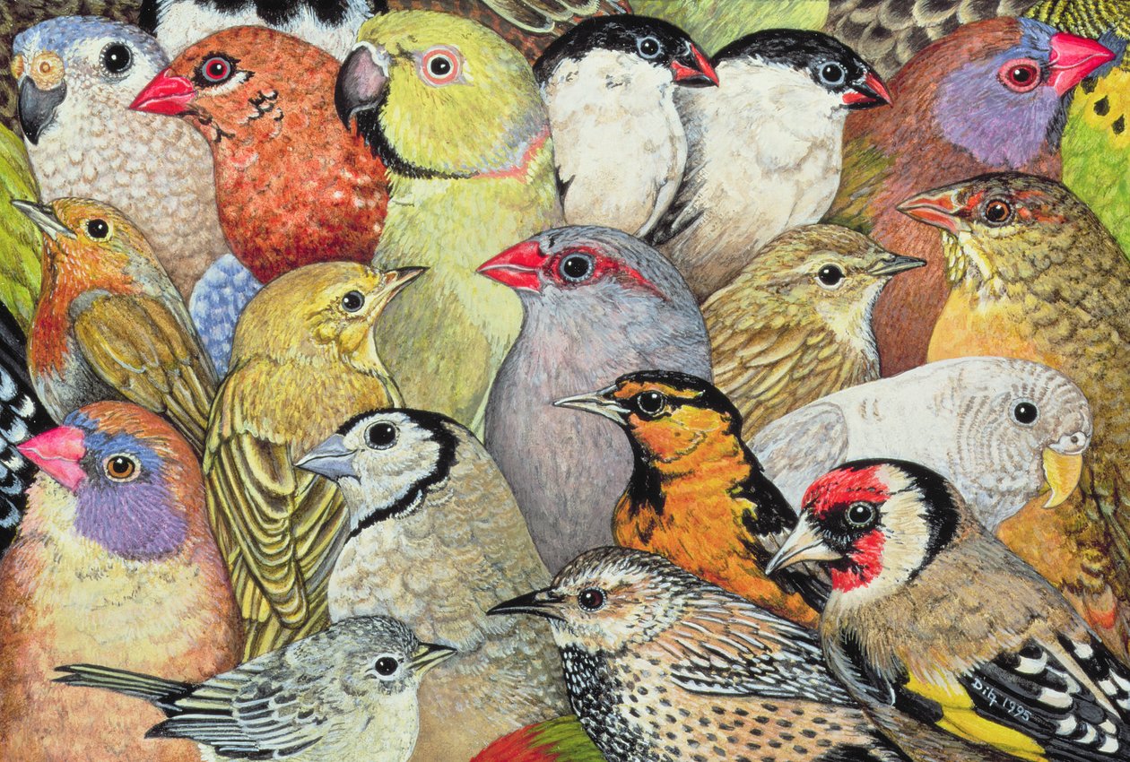 Patchwork-Birds, 1995 (akryl på panel) av Ditz