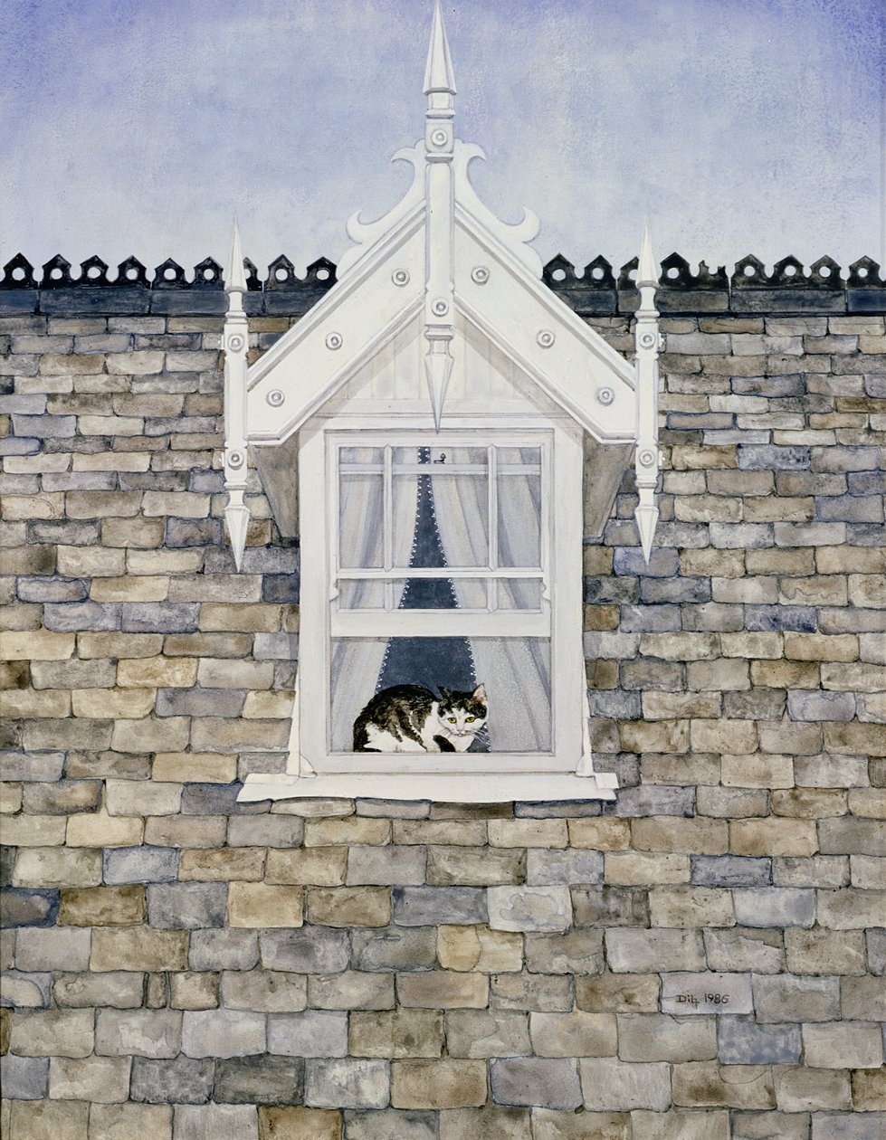 St.Helier Dormer Cat av Ditz