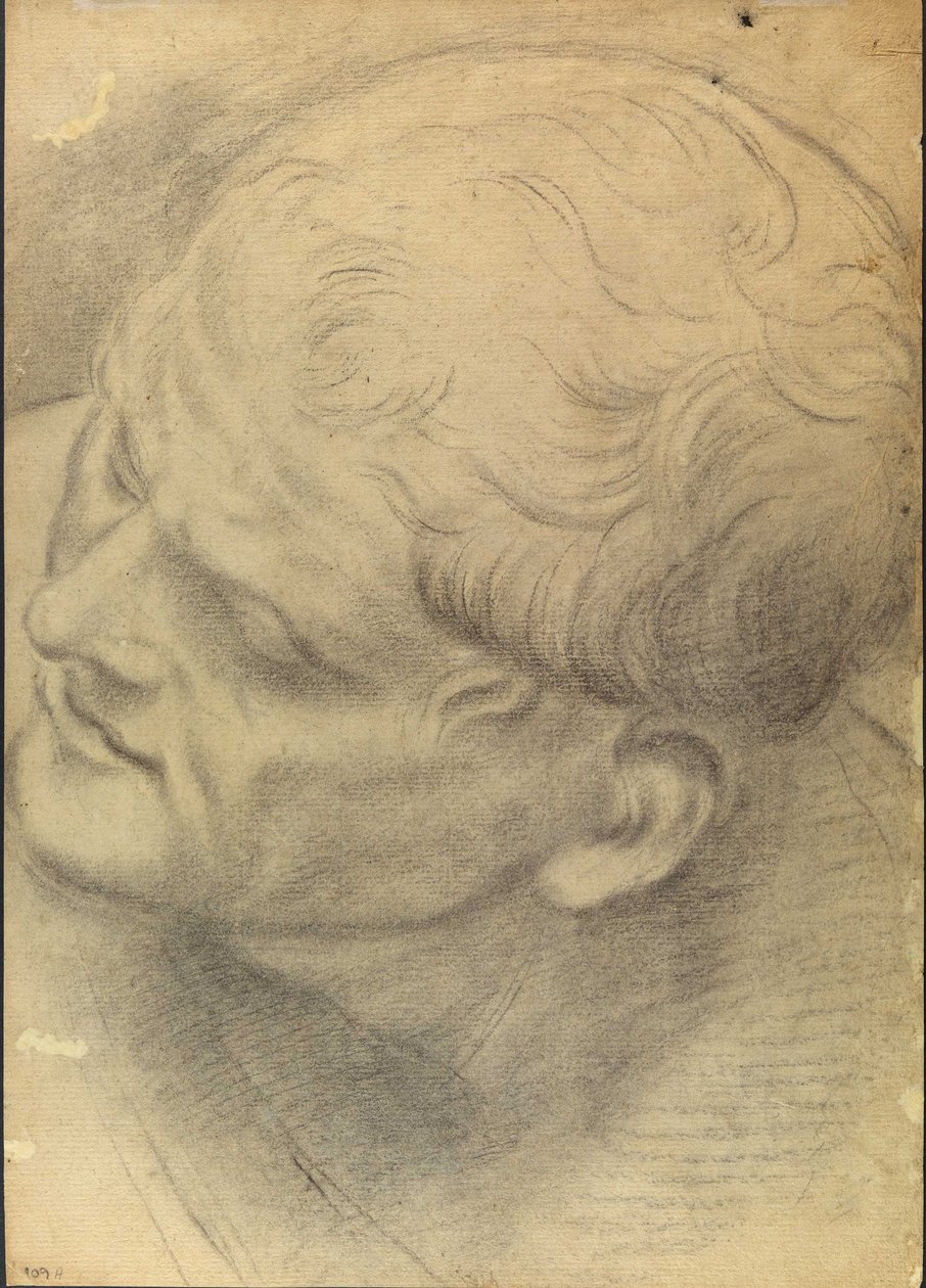 Skisse av et mannlig hode sett ovenfra av Domenico Maria Canuti