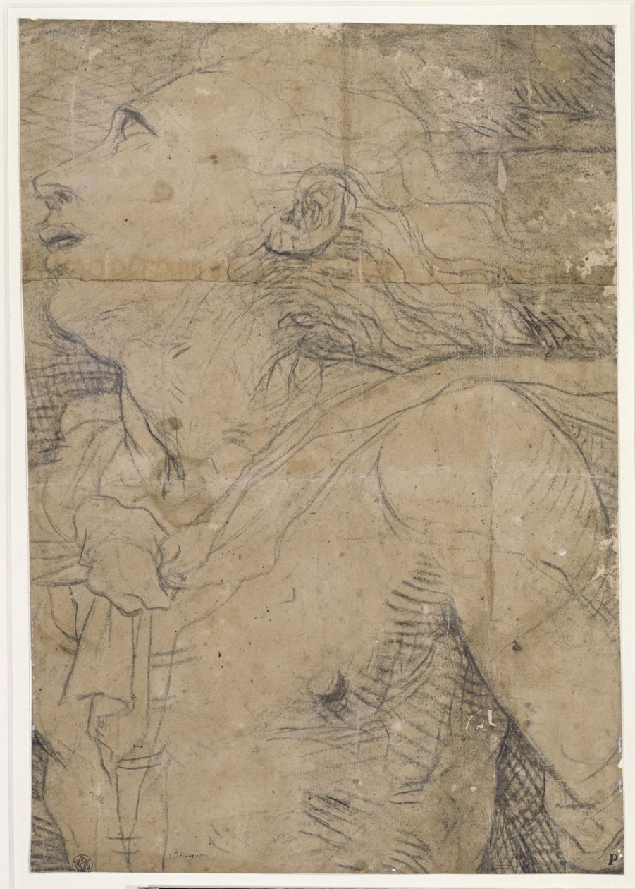 Ung mann som ser opp (halvfigur), fragment av en kartongskisse av Domenico Beccafumi