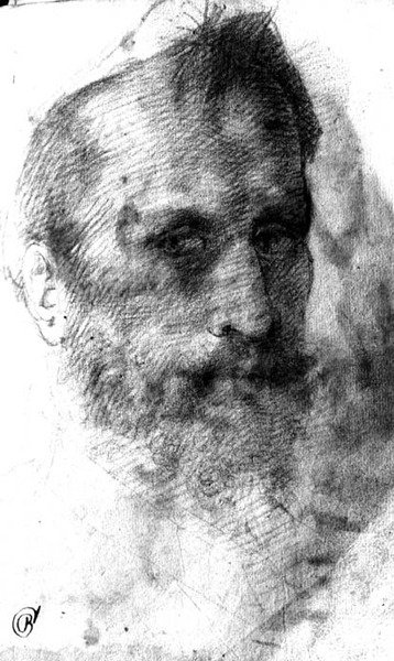 Skjegget mann (rødt kritt) av Domenico Beccafumi