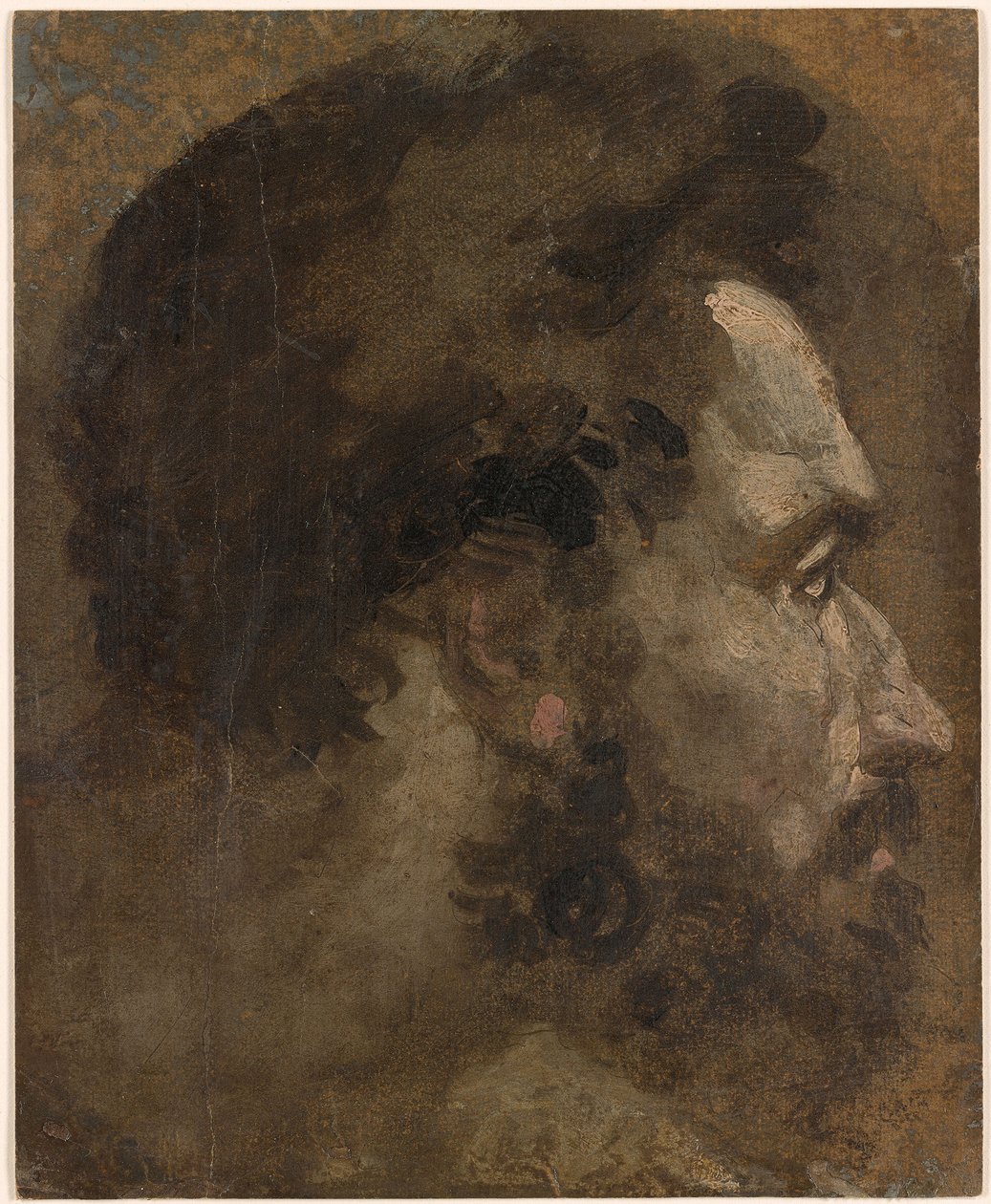 Beccafumi - Hode av en skjeggete mann i profil til høyre, ca. 1530–1535 av Domenico Beccafumi