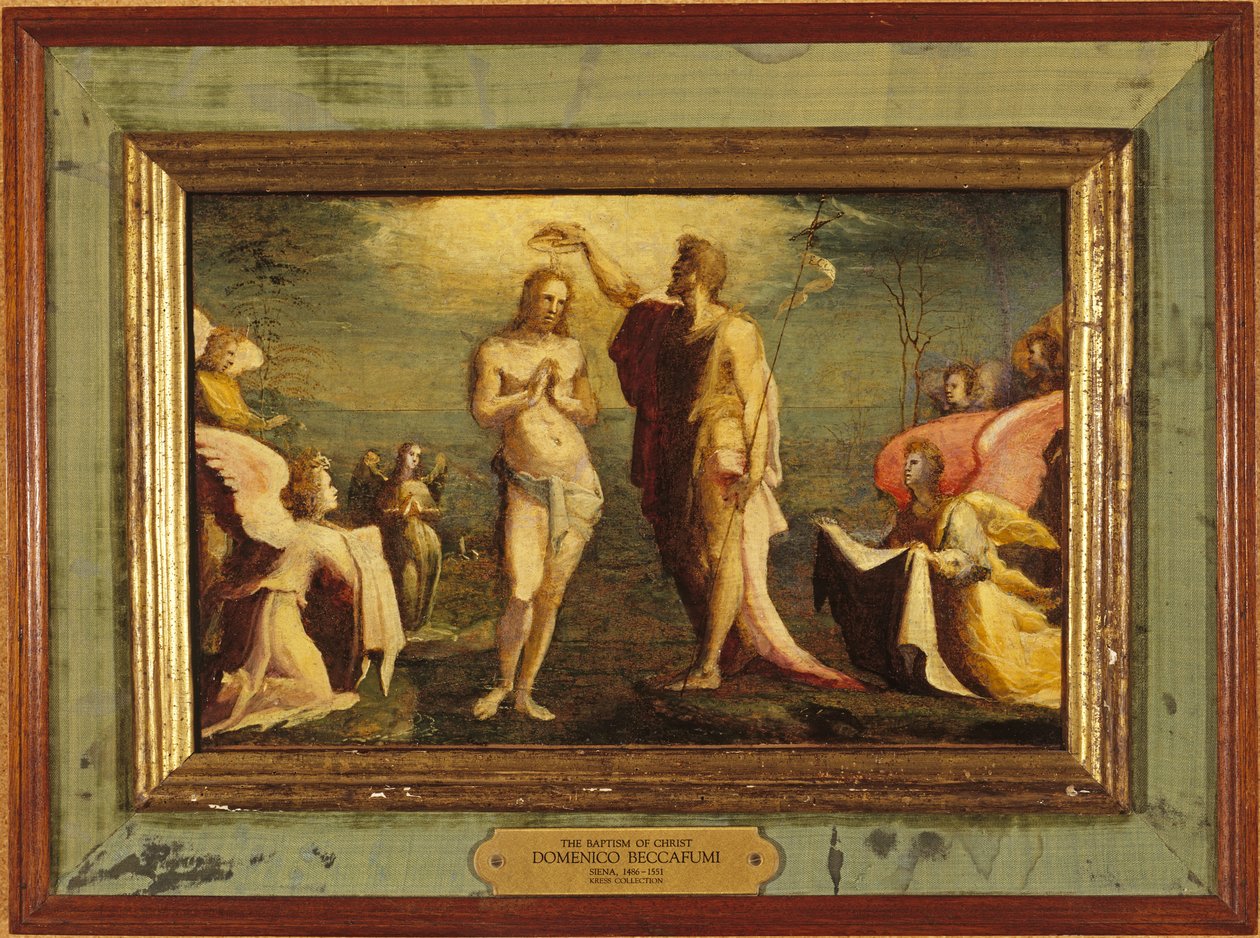  av Domenico Beccafumi