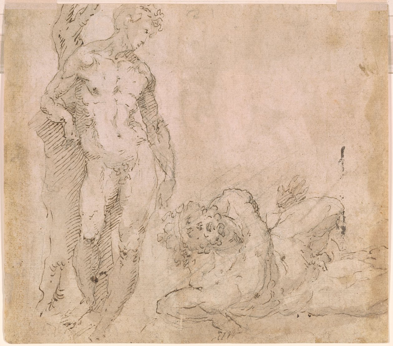 Beccafumi - Verso mannlig nakenfigur lent mot en trestamme og en liggende mannlig nakenfigur med hodet kastet bakover, ca. 1530–1540 av Domenico Beccafumi