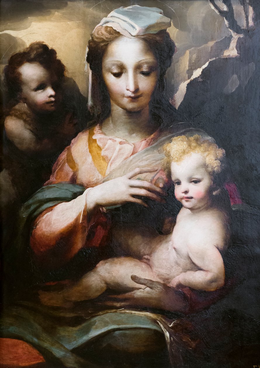 Madonna og barn med en ung helgen døperen Johannes av Domenico Beccafumi