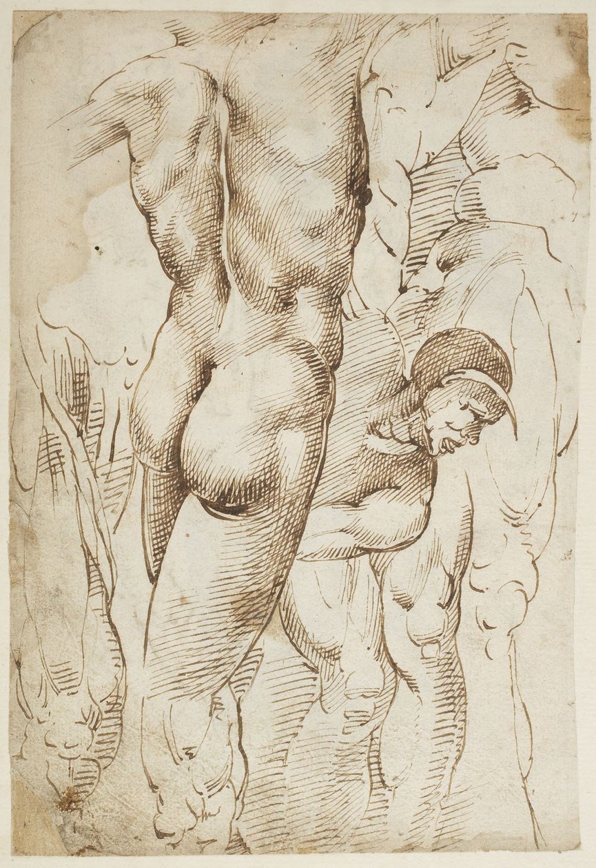 Studier av ben og mannlige nakenbilder av Domenico Beccafumi