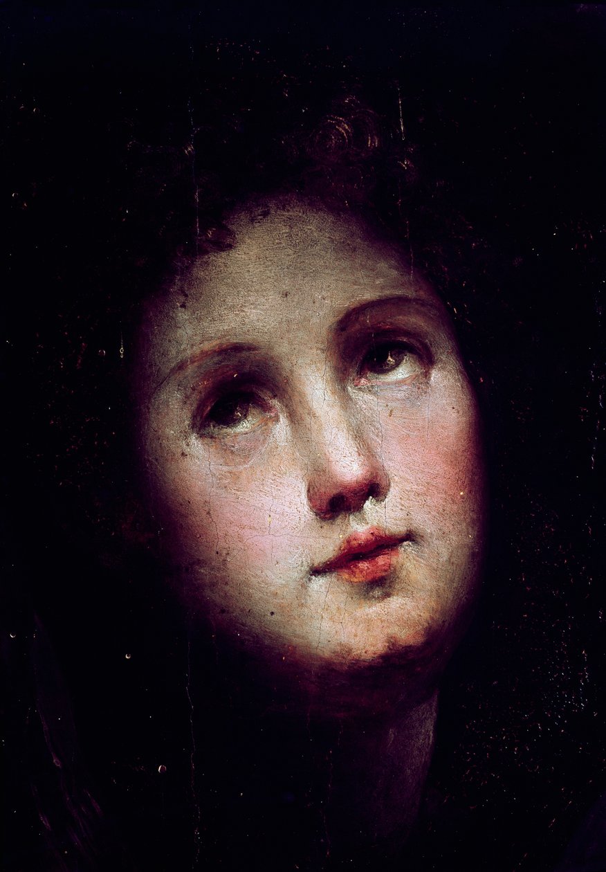 Kristi nedstigning til limbo. Detalj av en ung manns ansikt stuper inn i mørket (mørket) og stirrer mot himmelen. Maleri av Domenico Beccafumi (1486-1551) av Domenico Beccafumi