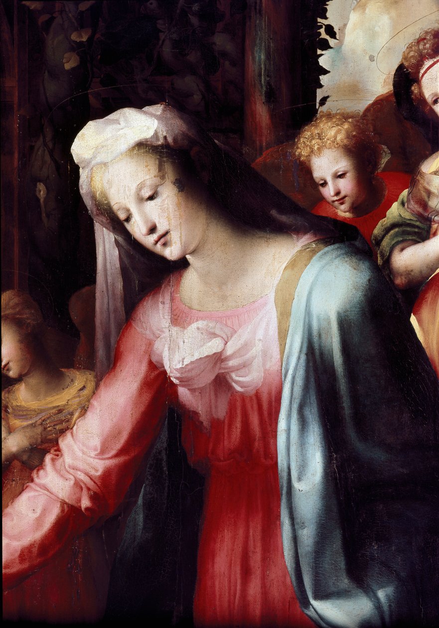 Jomfruens fødsel, detalj. Maleri av Domenico Beccafumi (1486-1551) av Domenico Beccafumi
