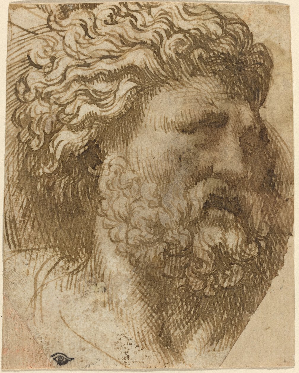 Leder av en mann av Domenico Campagnola