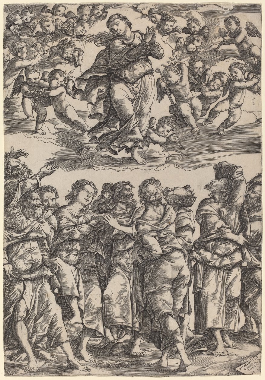 Jomfruens antagelse av Domenico Campagnola