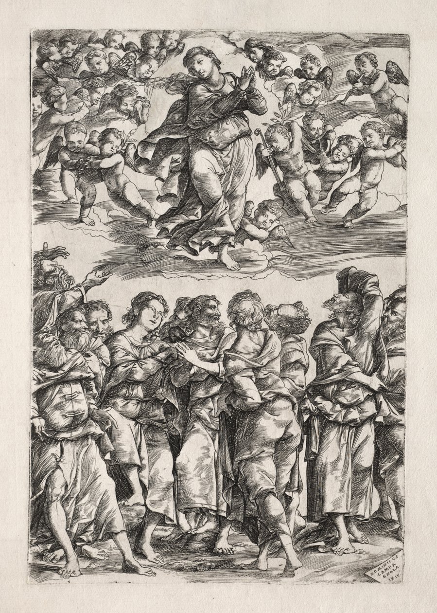 Jomfruens antagelse av Domenico Campagnola