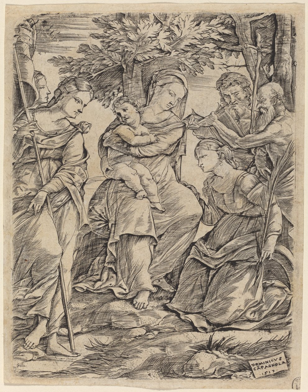 Jomfruen og barnet med de hellige av Domenico Campagnola