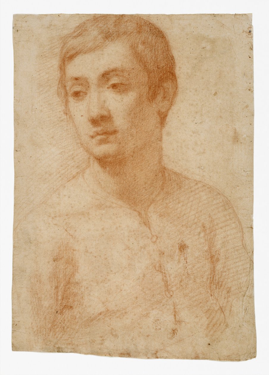 The Head of a Youth, ca. 1600-25 (rødt kritt på lagt papir) av Domenico Cresti