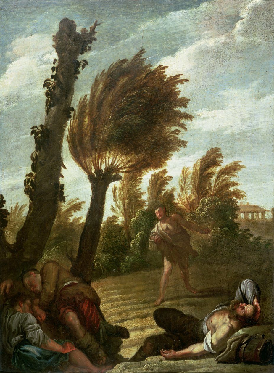 Lignelse om ugresssåeren, ca. 1620-21 av Domenico Fetti or Feti