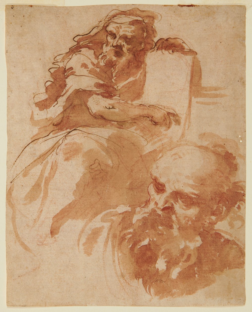 Seated Prophet (Recto) av Domenico Maria Canuti