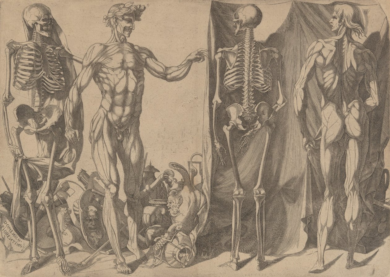 To flådde menn og skjelettene deres, ca. 1540-45. av Domenico del Barbiere