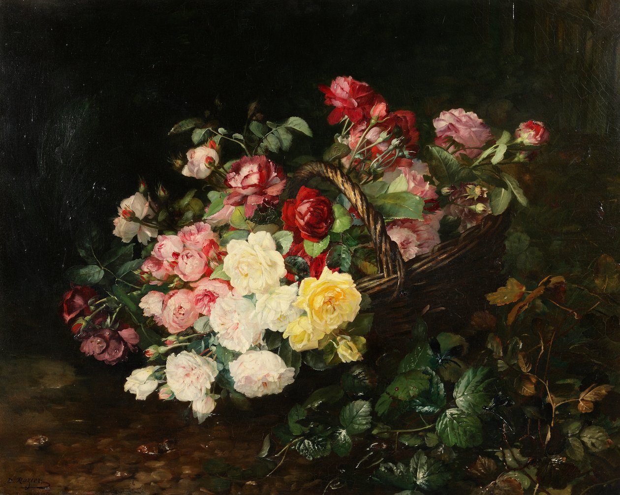 Roser av Dominique Herbert Rozier