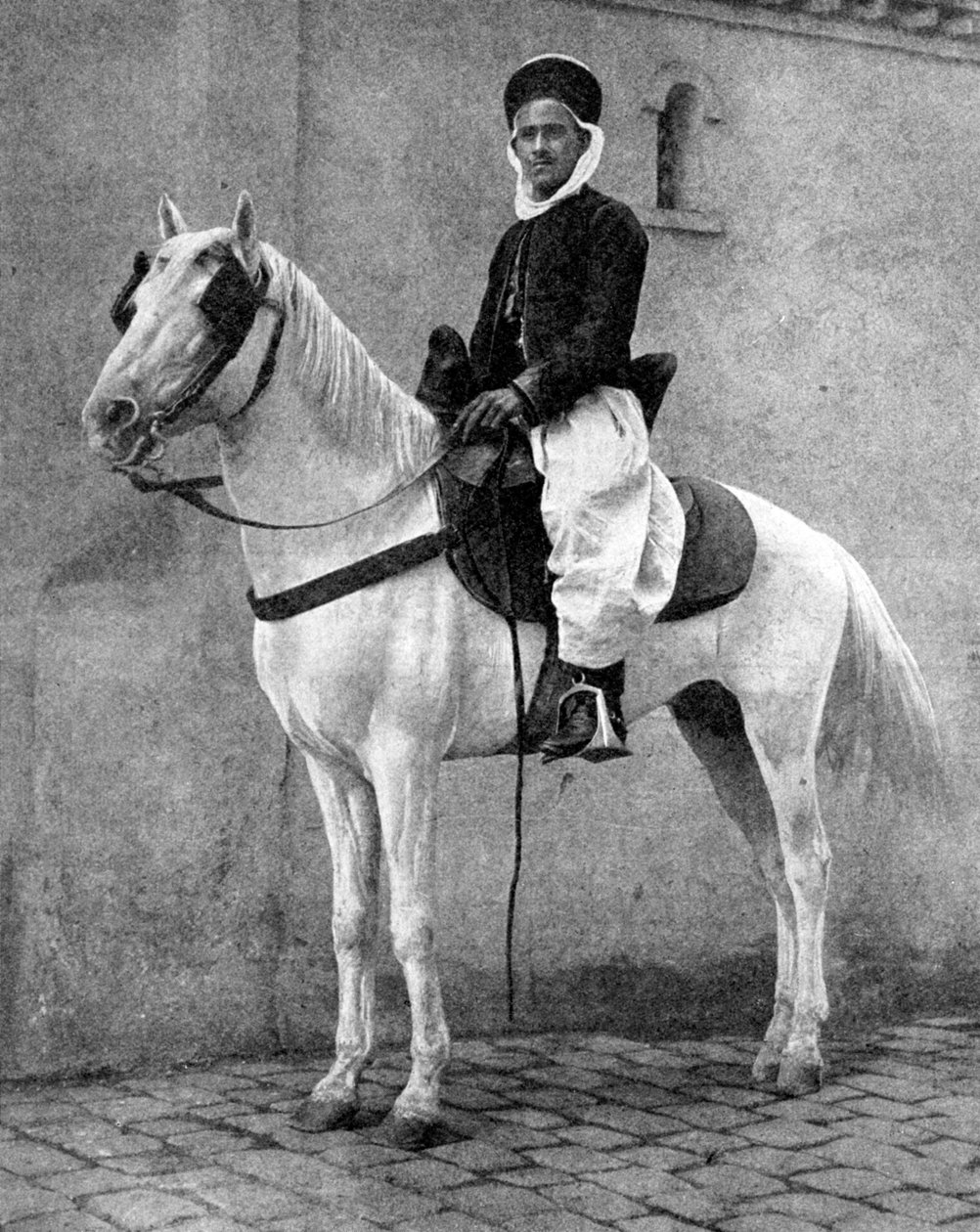 Berber-rytter fra den franske hæren, 1936. av Donald McLeish