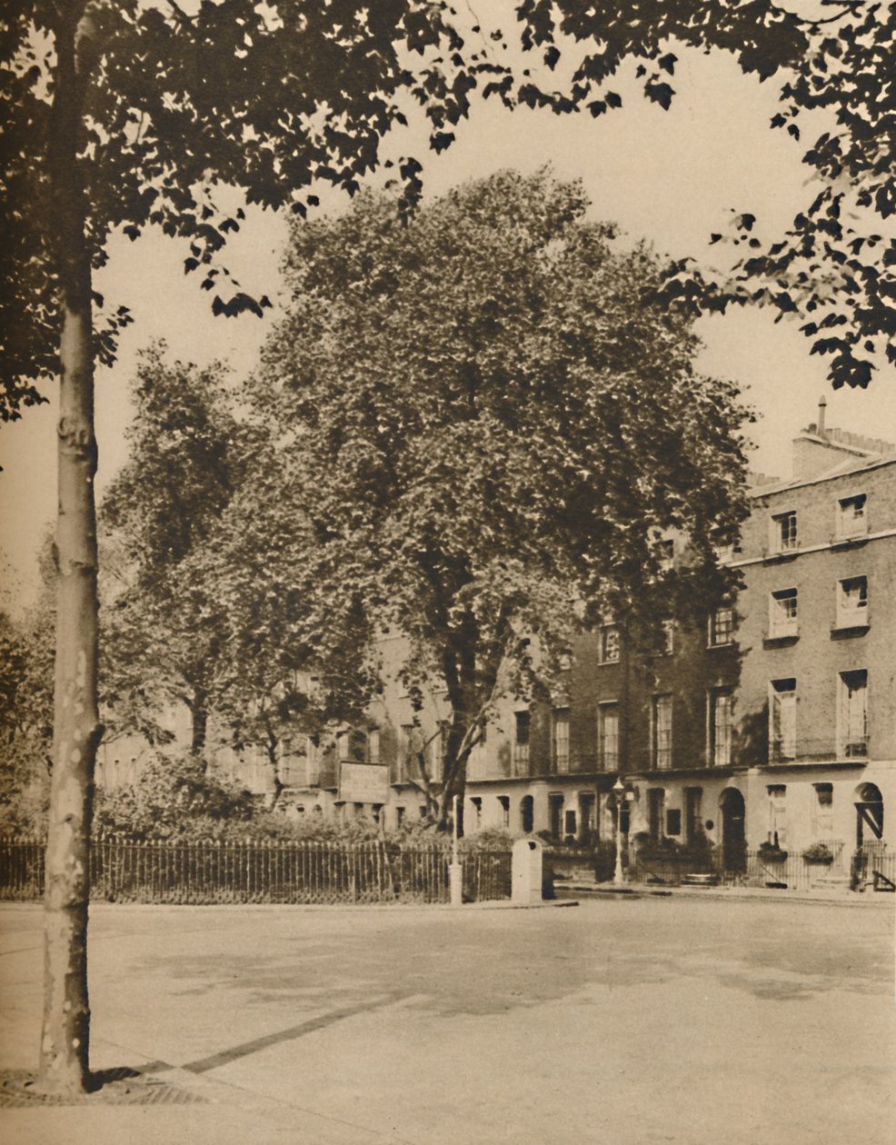 In Boarding-House Land: The Plane Trees of Torrington Square, c1935. av Donald McLeish