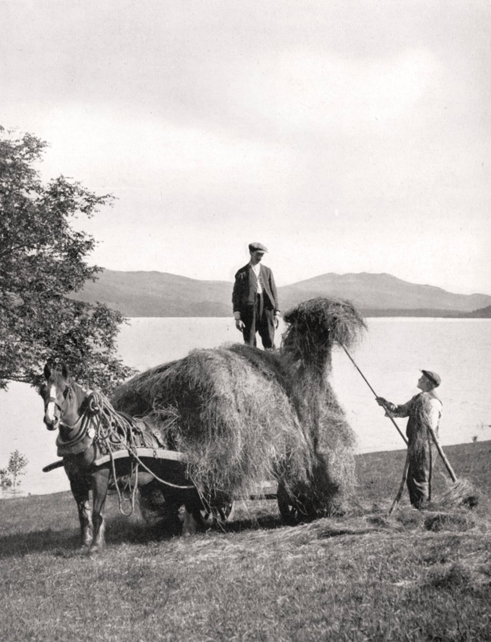 Laster høy på en vogn ved bredden av Loch Lomond, Skottland, 1924-1926. av Donald McLeish