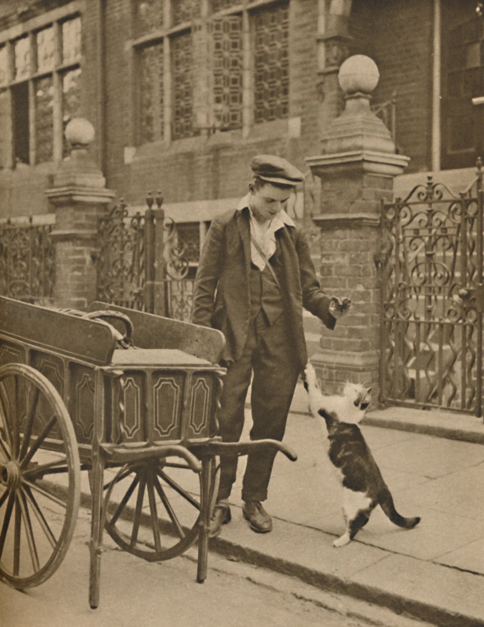 En av de best etablerte handelene: A Customer and the Cats-Meat Man, c1935. av Donald McLeish