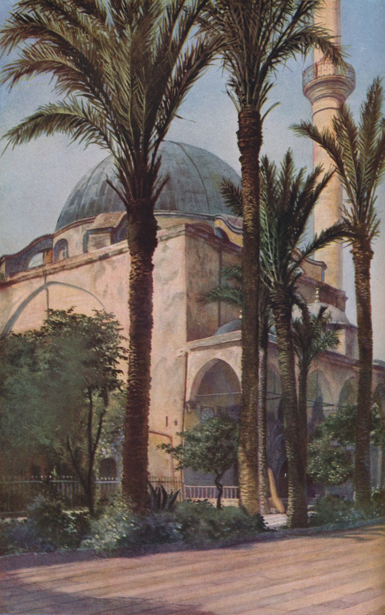 Palestina, ca 1930-tallet av Donald McLeish
