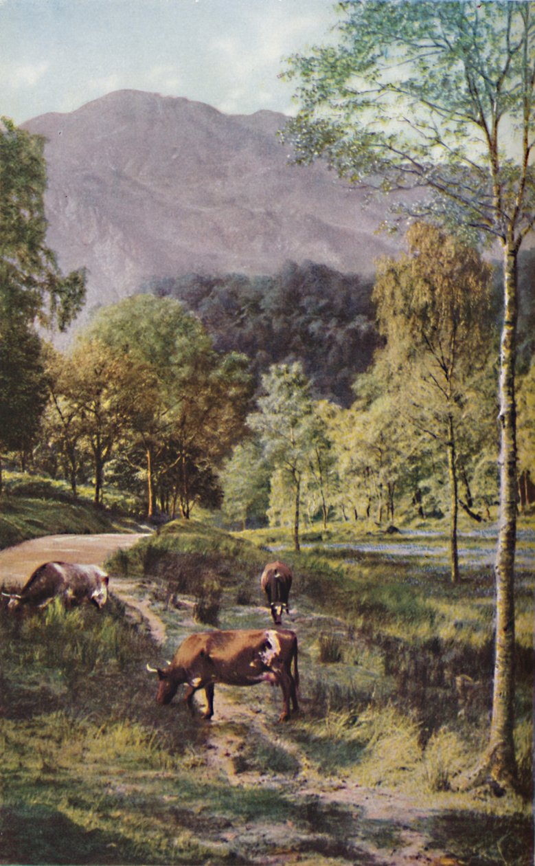 Skottland, ca 1930-tallet av Donald McLeish