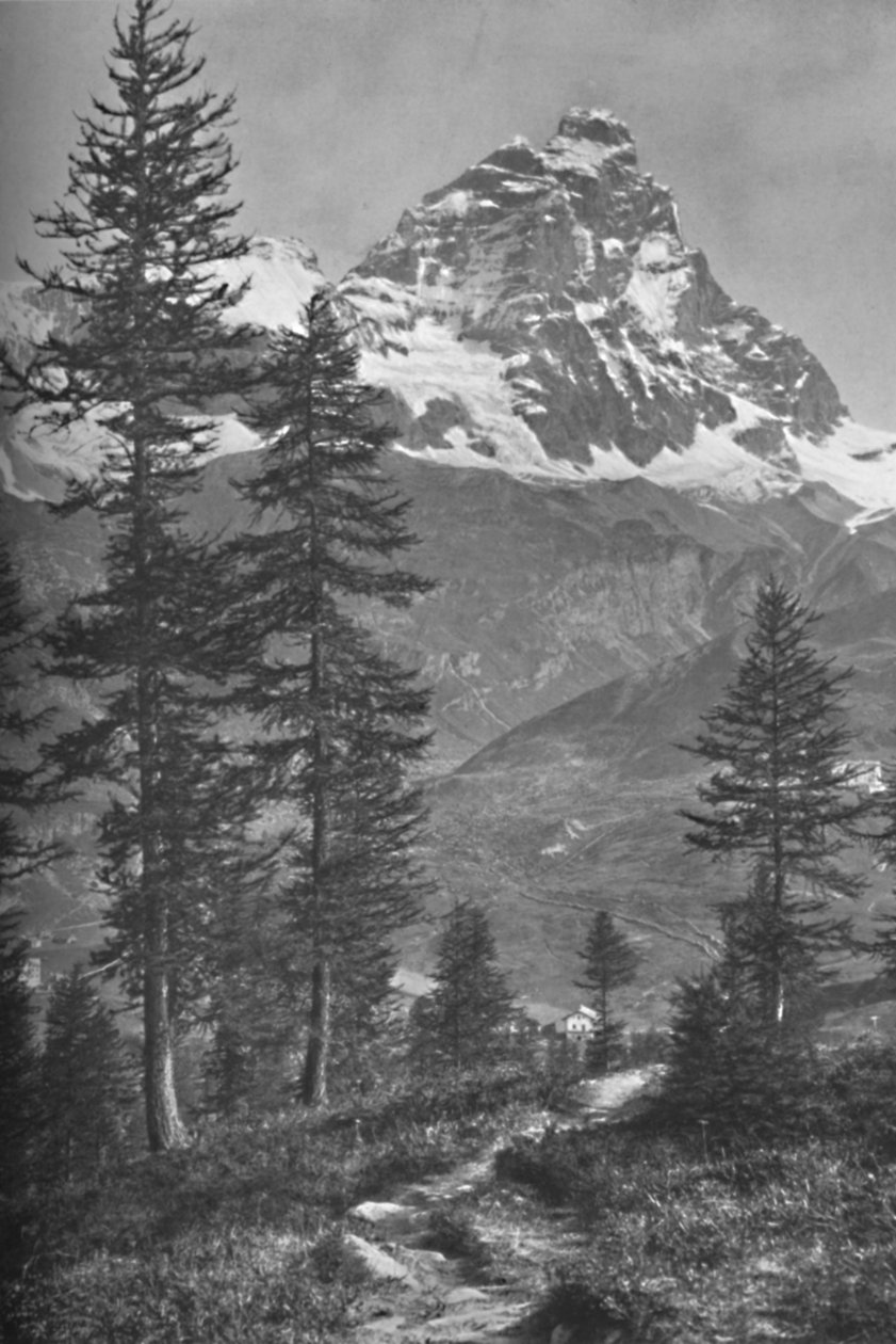 Matterhorn fra den italienske siden, Forest of Brueil, 1917 av Donald McLeish