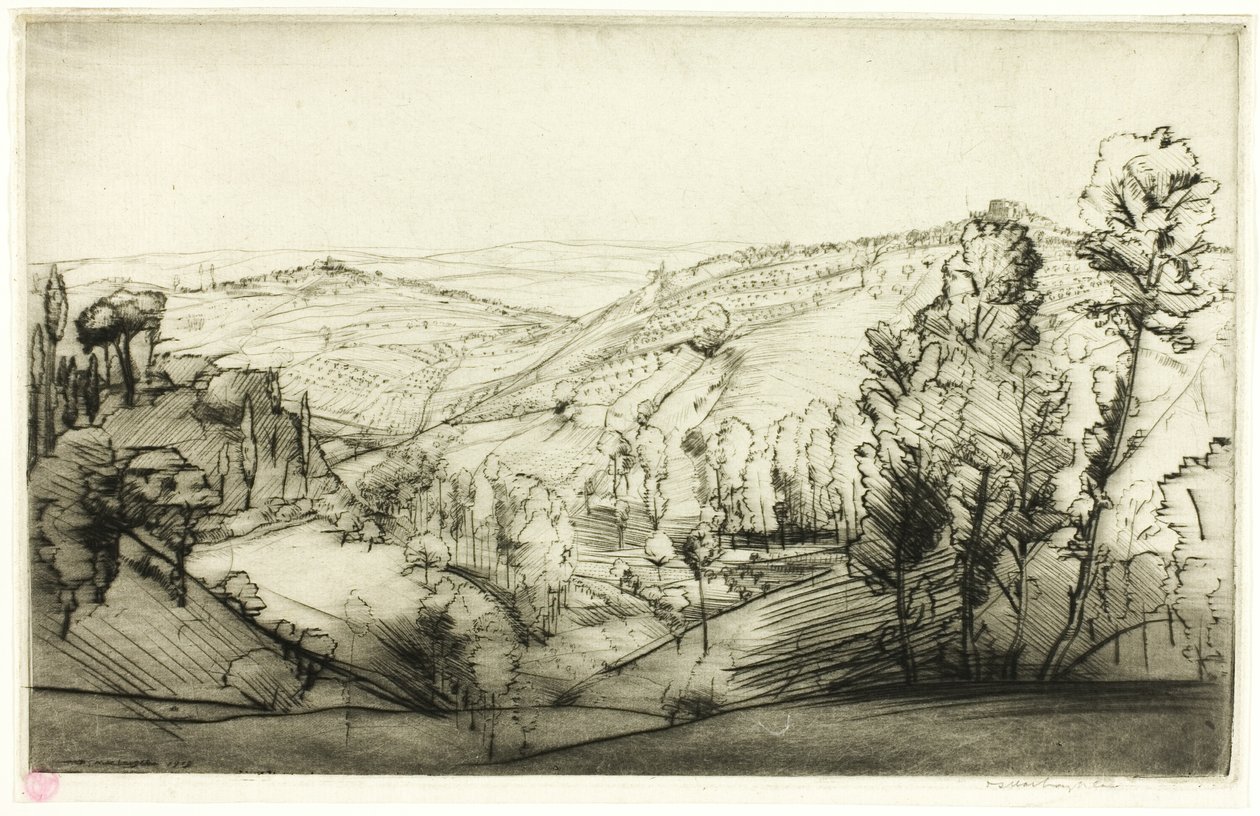 Fields of San Gimignano av Donald Shaw MacLaughlan
