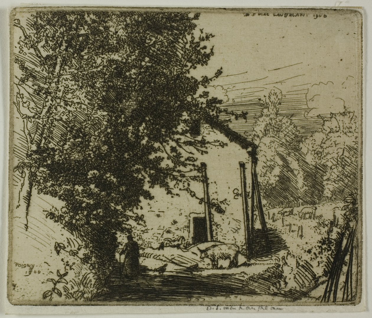 Lille Poigny av Donald Shaw MacLaughlan