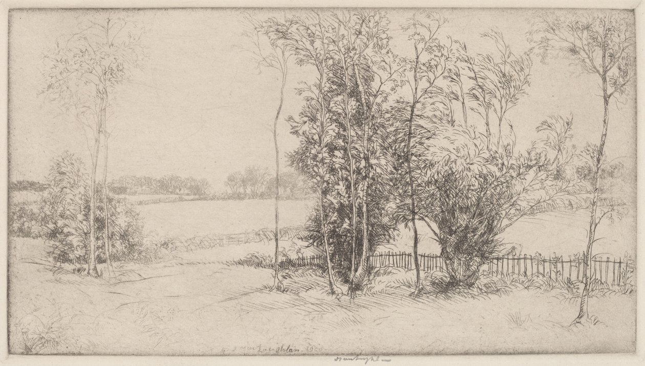 Sussex landskap av Donald Shaw MacLaughlan