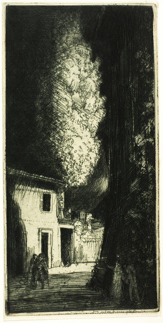 Det hjemsøkte huset av Donald Shaw MacLaughlan