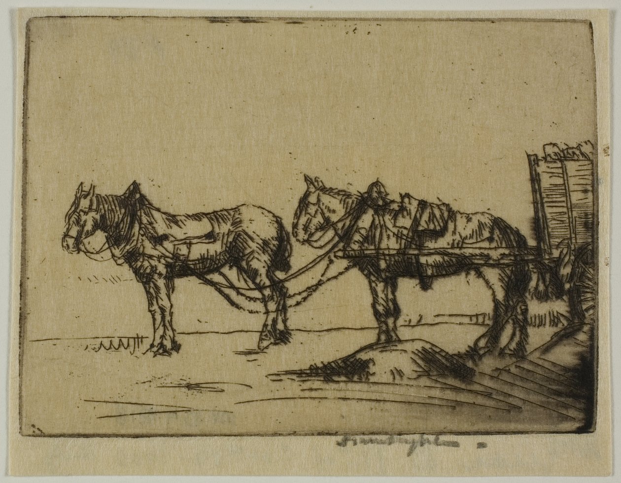 To hester av Donald Shaw MacLaughlan