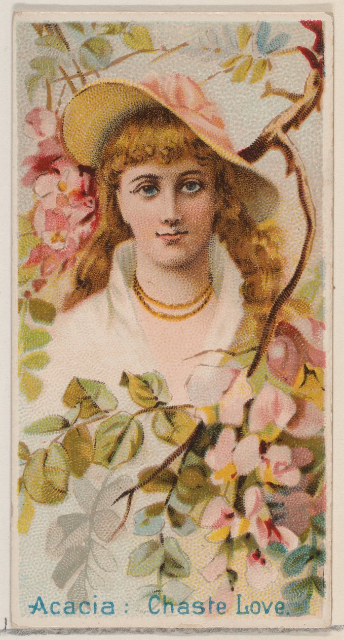 Acacia: Chaste Love, fra serien Floral Beauties and Language of Flowers N75 for Duk..., 1892. av Donaldson Brothers