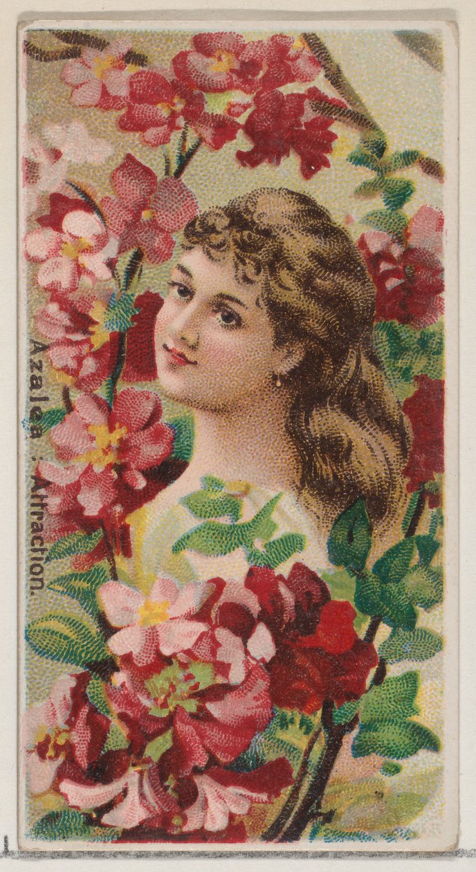 Azalea: Attraction, fra serien Floral Beauties and Language of Flowers N75 for Duke..., 1892. av Donaldson Brothers