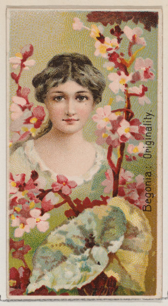 Begonia: Originality, fra serien Floral Beauties and Language of Flowers N75 for Du..., 1892. av Donaldson Brothers