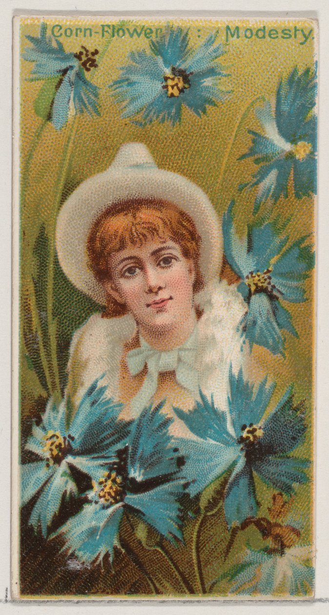 Cornflower: Modesty, fra serien Floral Beauties and Language of Flowers N75 for Duk..., 1892. av Donaldson Brothers