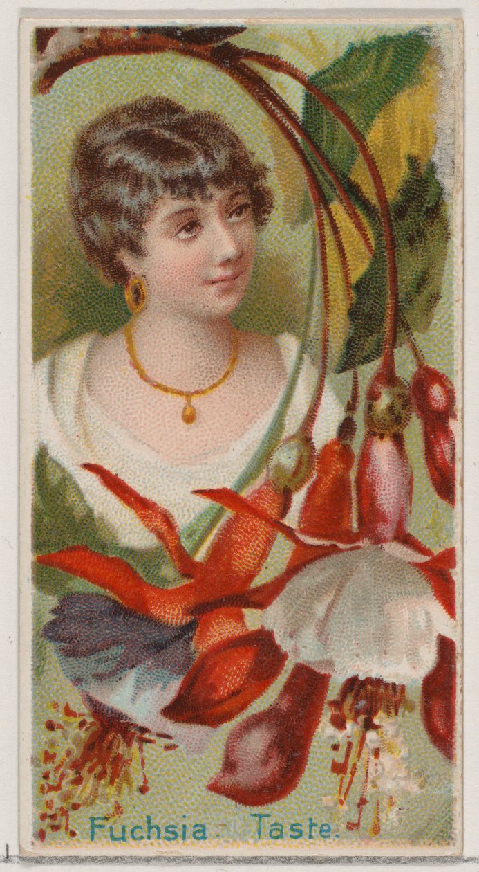 Fuchsia: Taste, fra serien Floral Beauties and Language of Flowers N75 for Duke bra..., 1892. av Donaldson Brothers