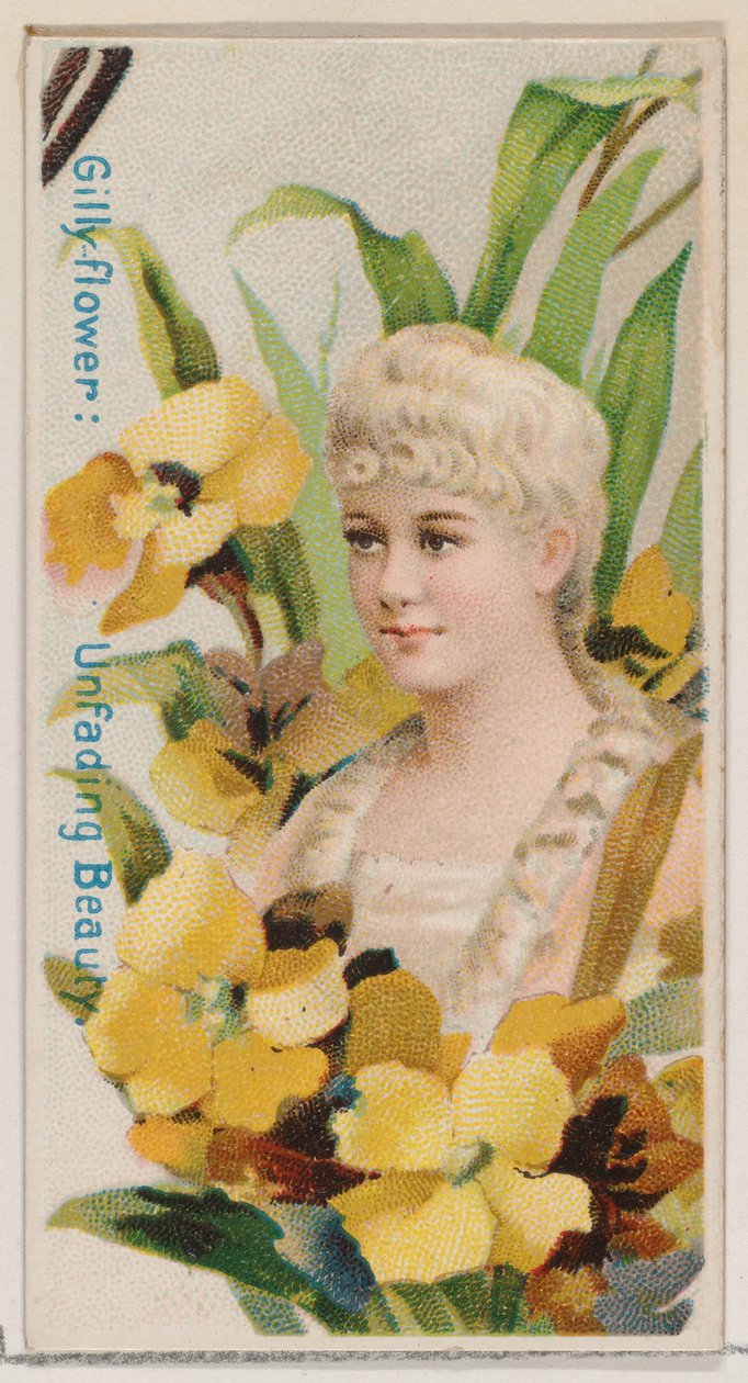 Gilly-flower: Unfading Beauty, fra serien Floral Beauties and Language of Flowers N7..., 1892. av Donaldson Brothers
