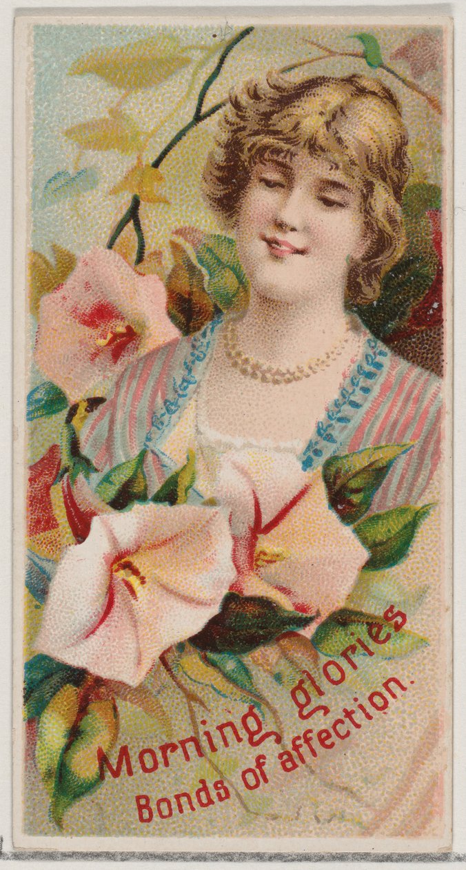 Morning Glories: Bonds of Affection, fra serien Floral Beauties and Language of Flowe..., 1892. av Donaldson Brothers