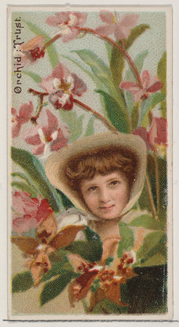 Orchid: Trust, fra serien Floral Beauties and Language of Flowers N75 for Duke bran..., 1892. av Donaldson Brothers