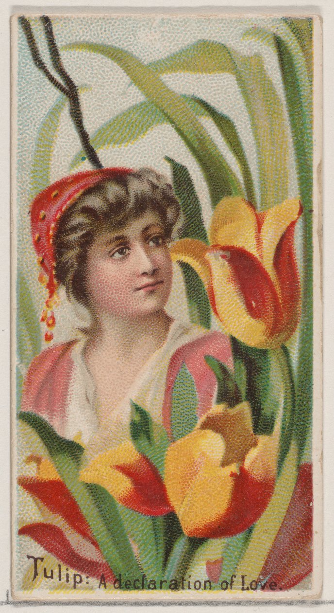 Tulip: A Declaration of Love, from the series Floral Beauties and Language of Flowers N75..., 1892.    1181306   no       norwegian Successfully Translated  Original: At long last he came to a great farm Translat: At long last he came to a great farm 13201 av Donaldson Brothers