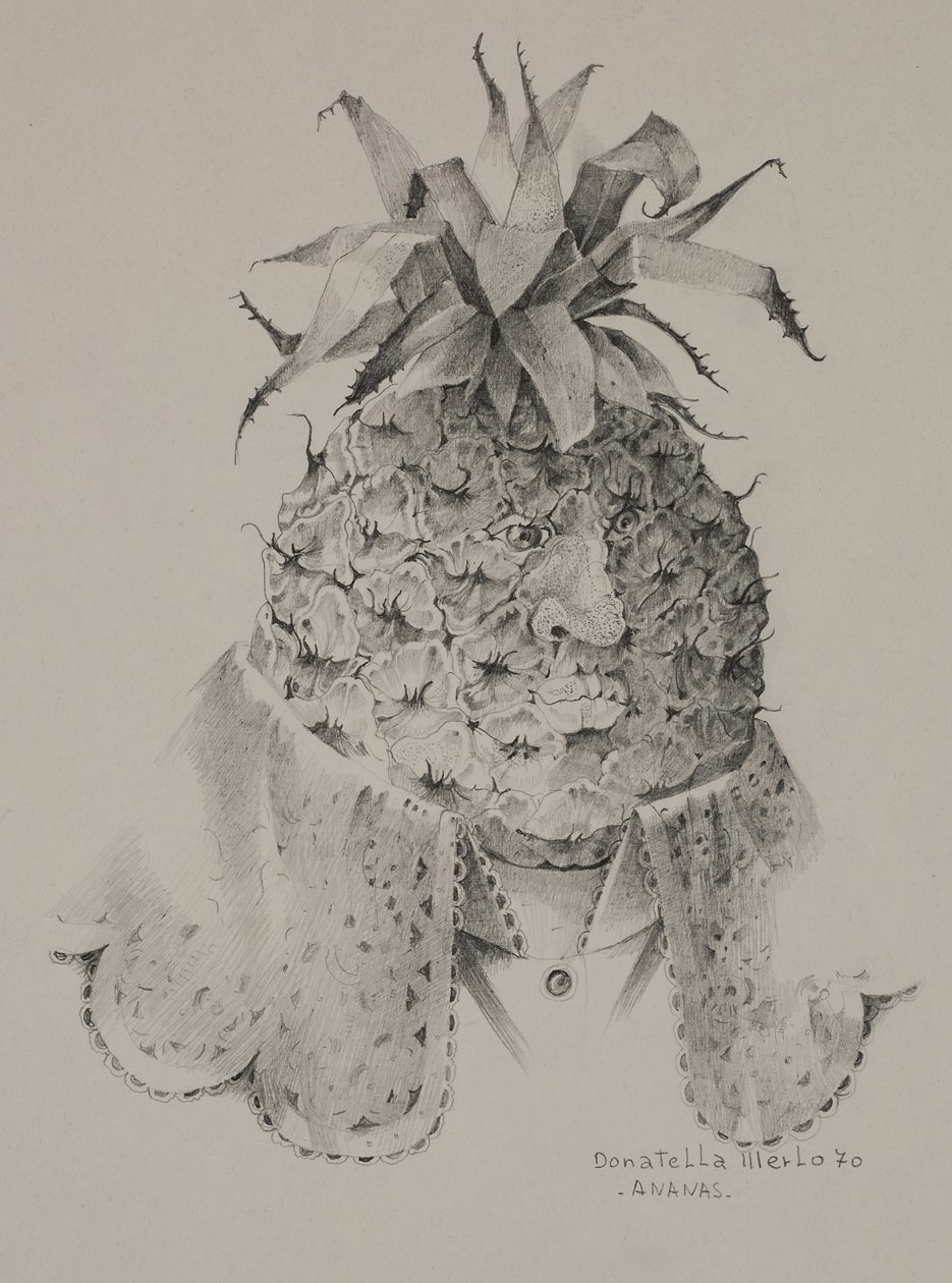 Ananas av Donatella Merlo