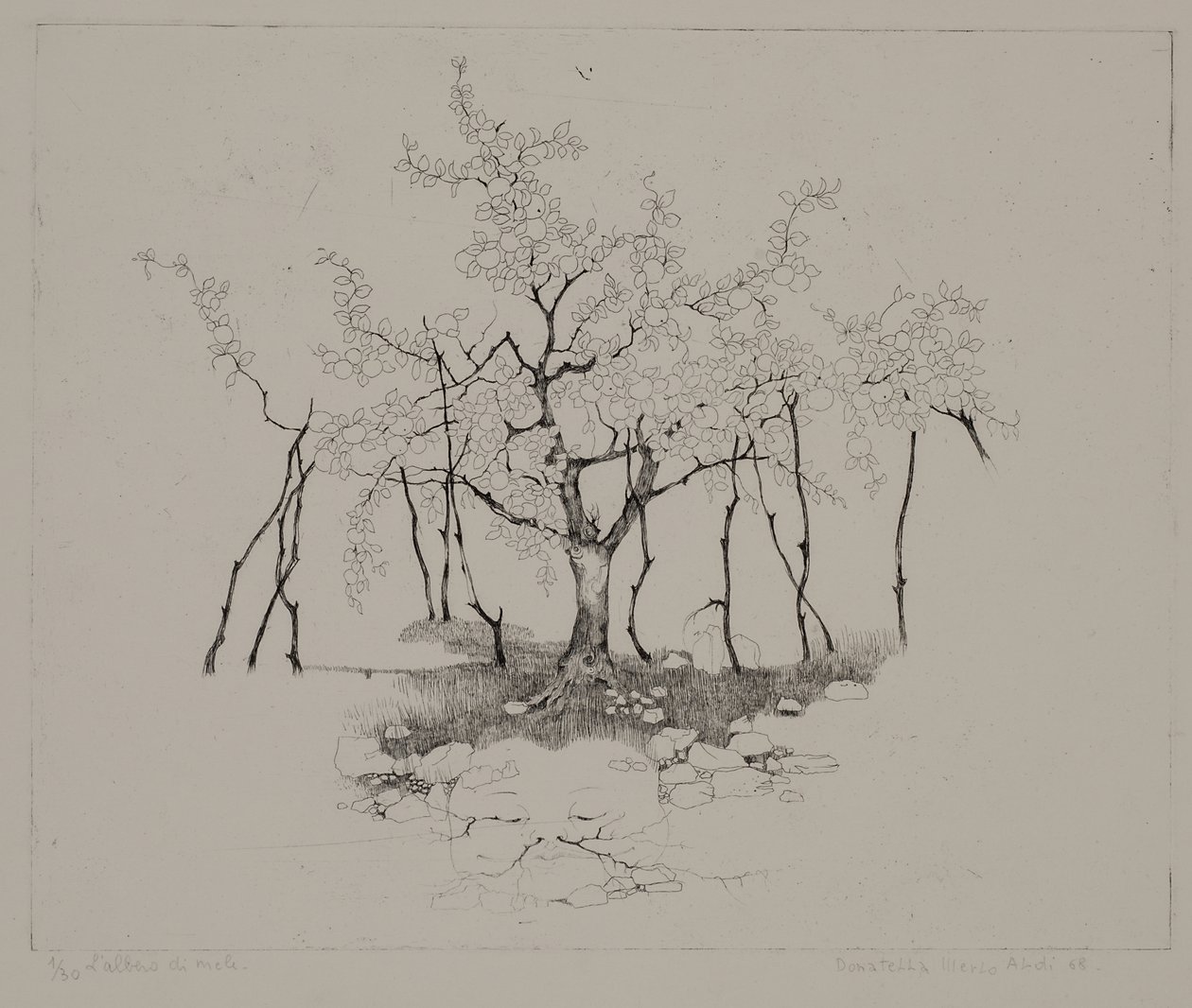 Epletreet av Donatella Merlo