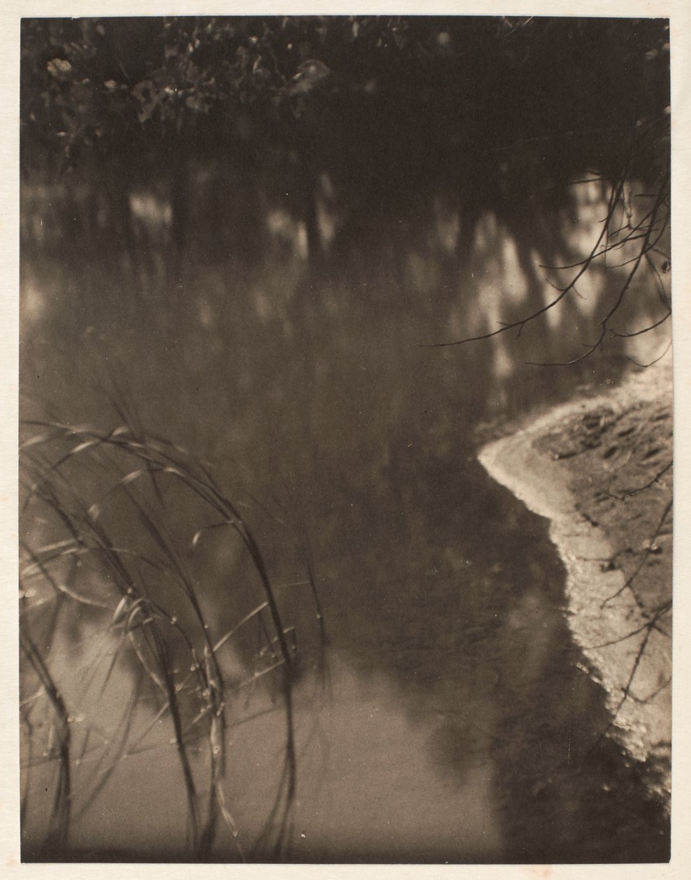  av Doris Ulmann